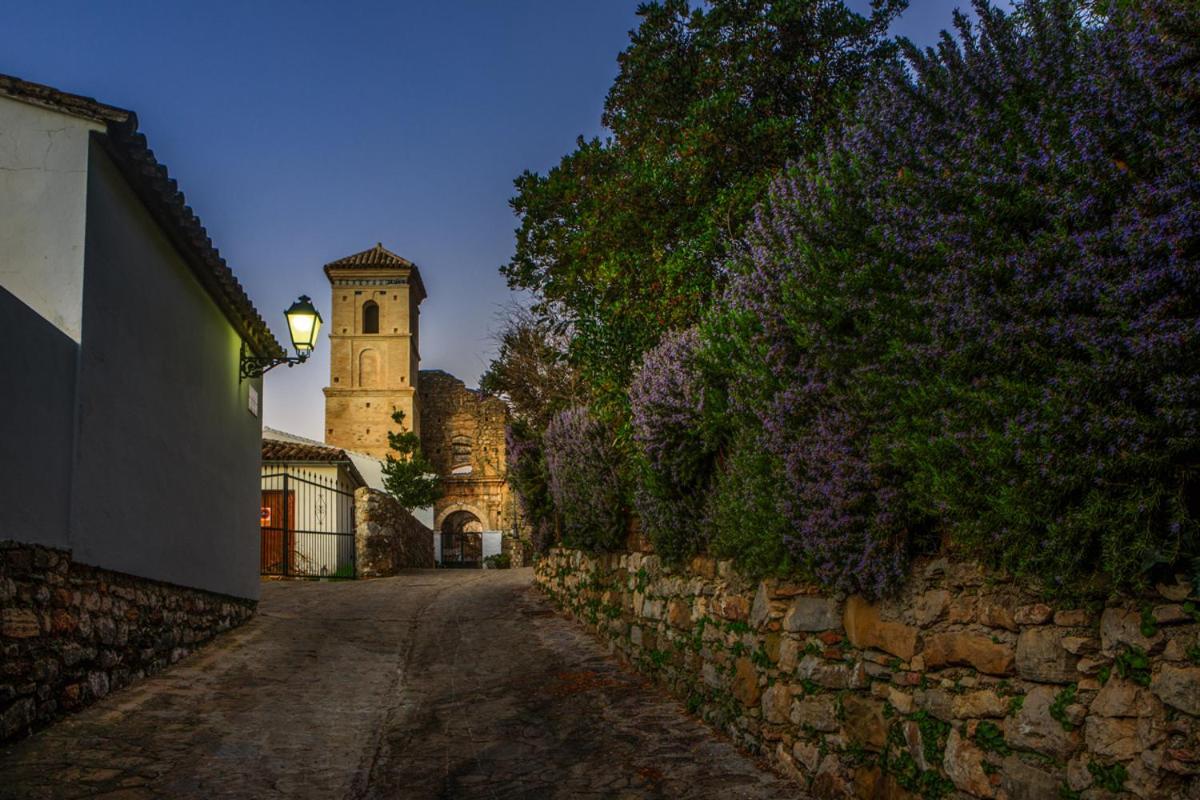 Casa De Los Cuadros Villaluenga Del Rosario Kültér fotó